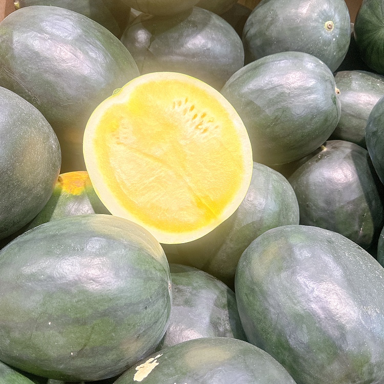 green-skin-and-yellow-heart-watermelon-about-4-5kg-1
