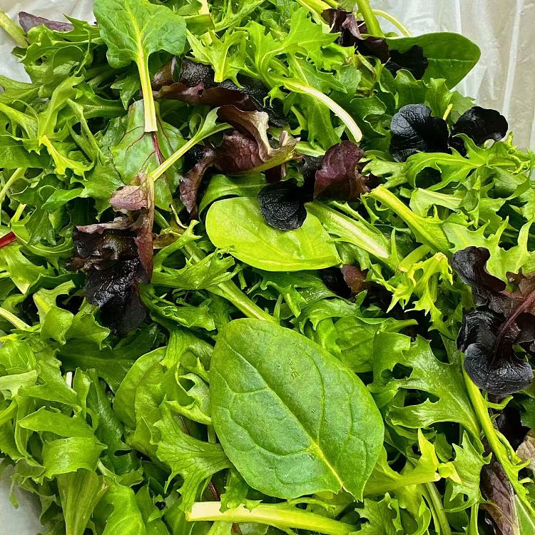 mixed-salad-greens-about-300g-1