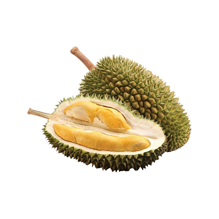 fresh-airfreightlimited-fresh-tree-ripened-gourd-durian-fruit-meat-400g-1