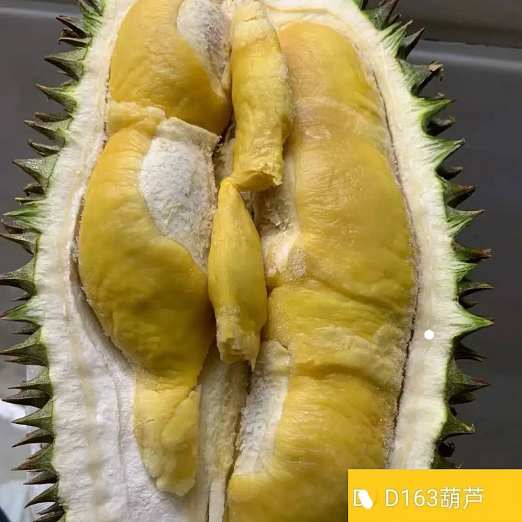 fresh-airfreightlimited-fresh-tree-ripened-gourd-durian-fruit-meat-400g-2