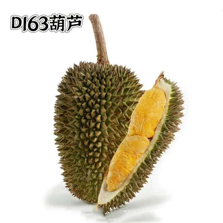 fresh-airfreightlimited-fresh-tree-ripened-gourd-durian-fruit-meat-400g-3
