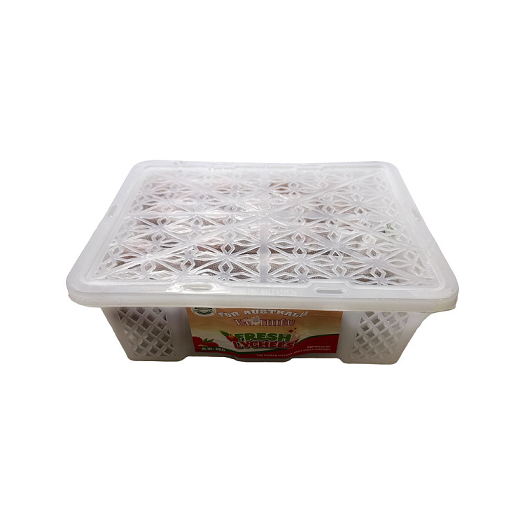 air-transportationvietnamese-lychee-about-500g-5