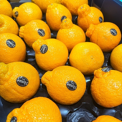 澳洲丑橘 Ugly Mandarin 约1.1kg