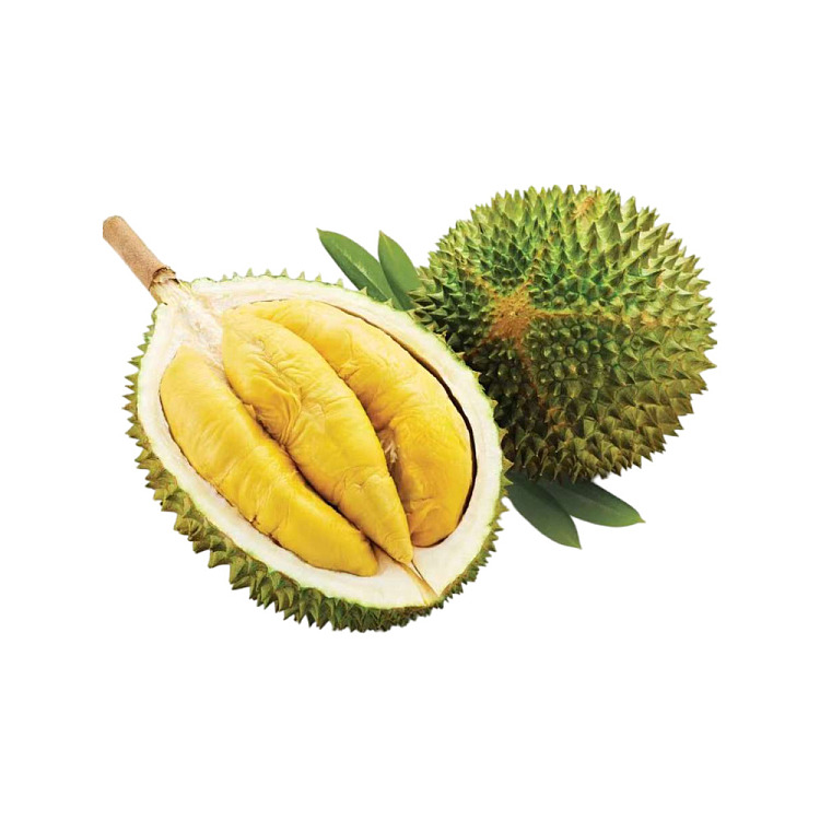 frozen-d197-king-cats-nest-fruit-king-durian-approx-14-16kg-1