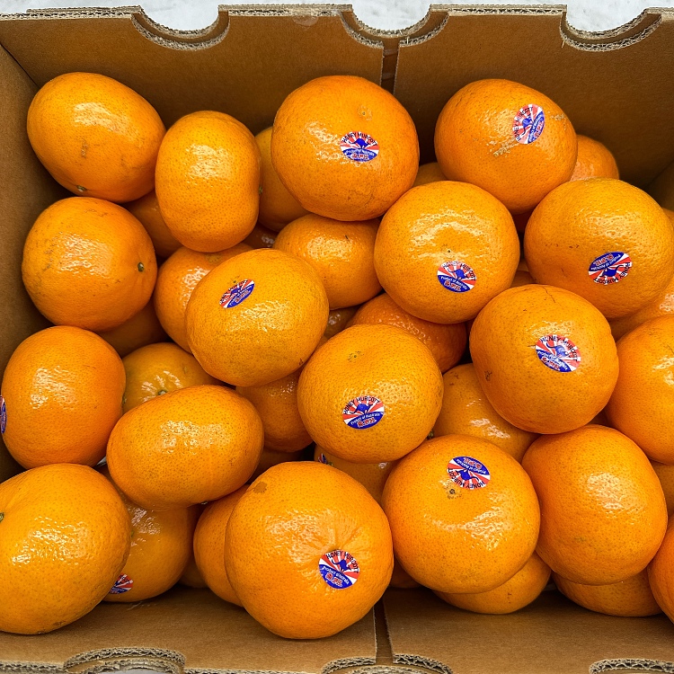 2ph-mogokan-approx-09-1kg-2
