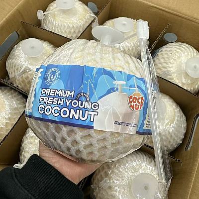 越南易开椰青 EazyOpen Coconut 1个