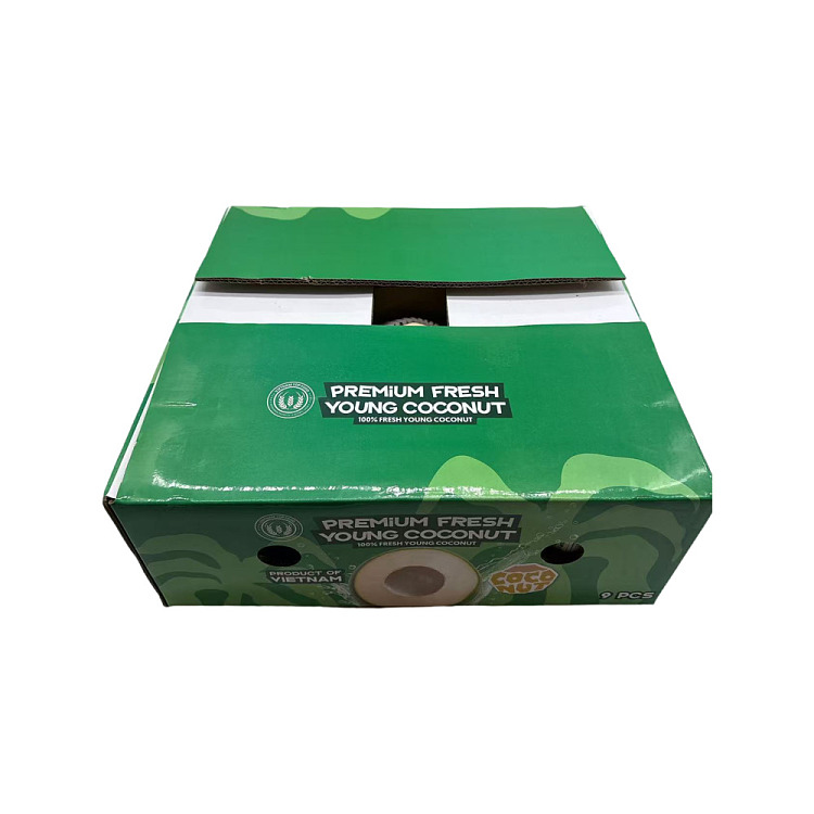premium-vietnam-premium-large-coconut-green-1pc-4