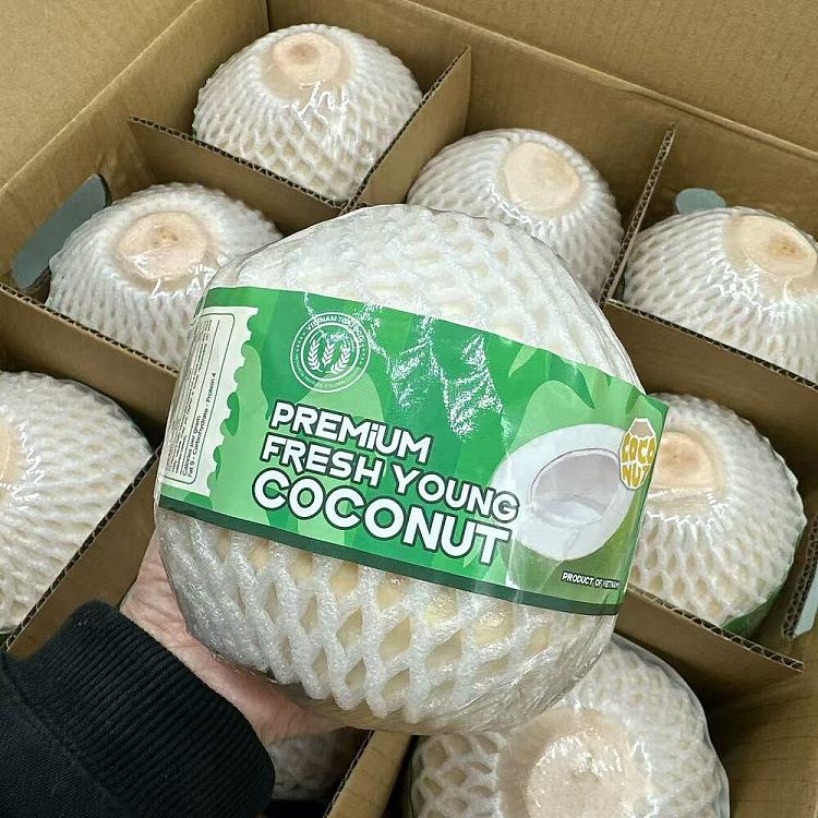 premium-vietnam-premium-large-coconut-green-1pc-1