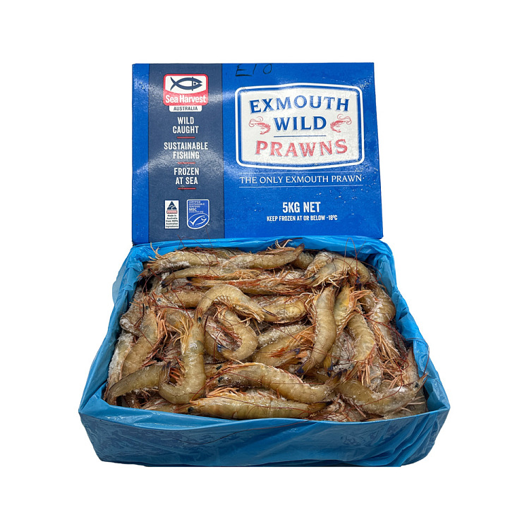frozen-exmouth-wild-prawns-u1020-whole-case-approx-5kg-1