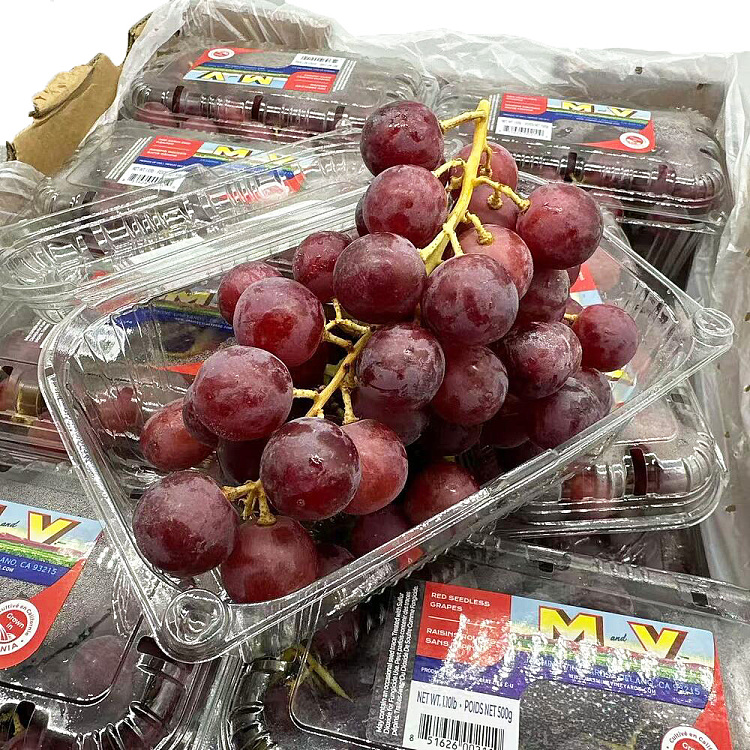 usa-seedless-red-grape-1-box-about-550g-1