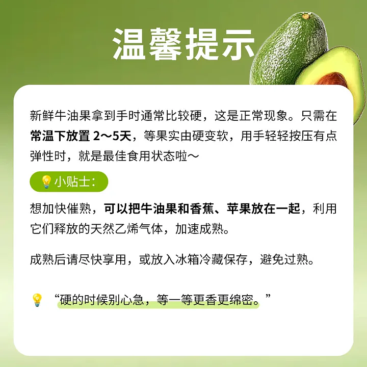 fresh2-avocados-3