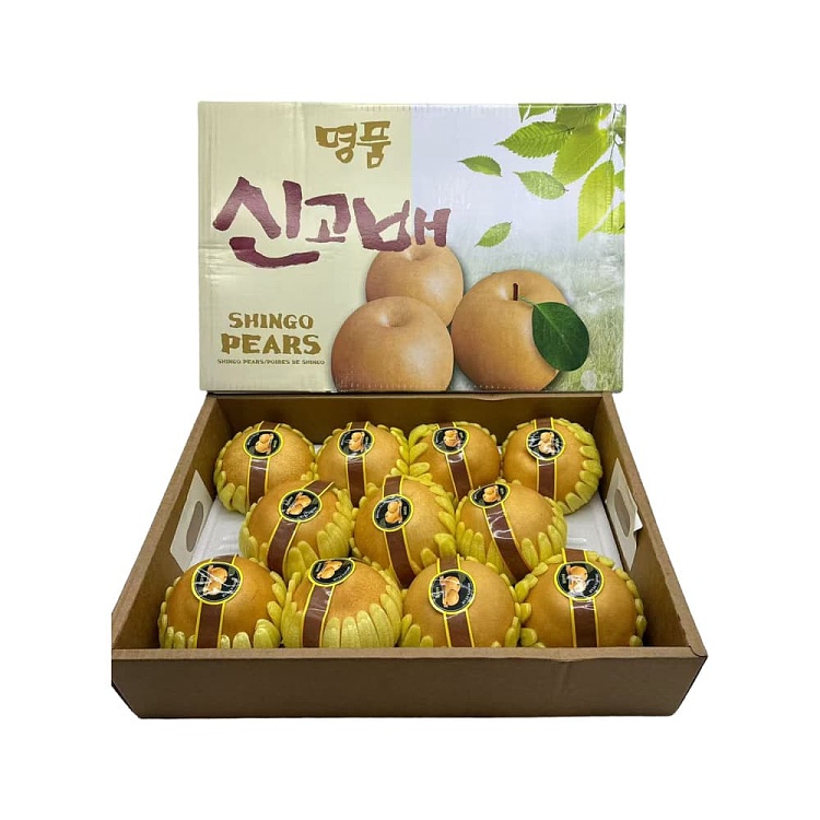 case-korean-shingo-pear-size6-10-1