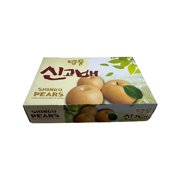 case-korean-shingo-pear-size6-10-3