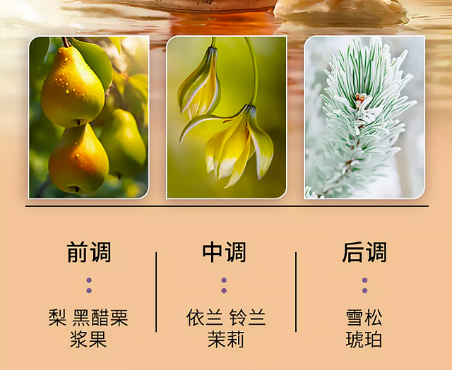 bee-flower-essential-oil-collection-fragrance-shampoo-strength-repair-300ml-6