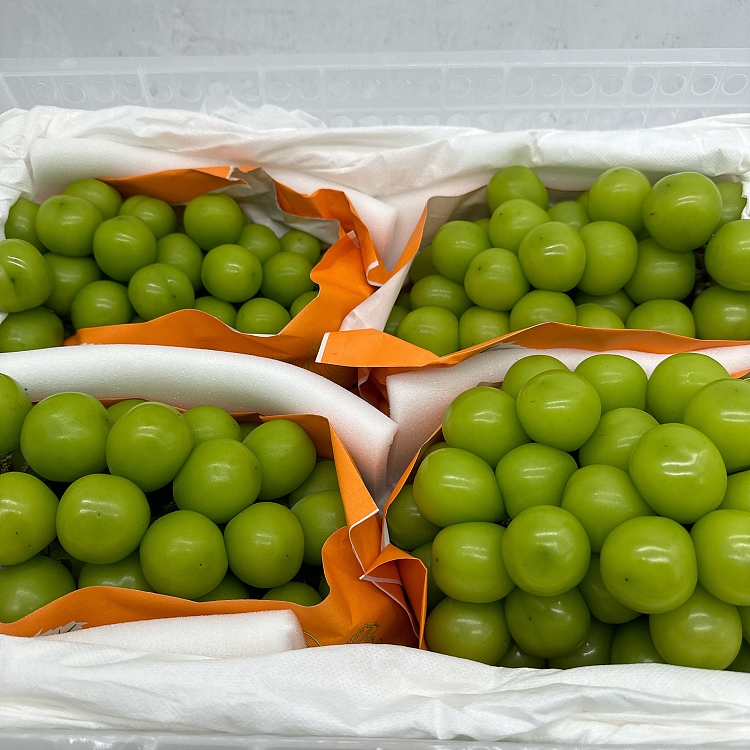 air-freight-china-sunshine-rose-1-bunch-about-800-900g-2