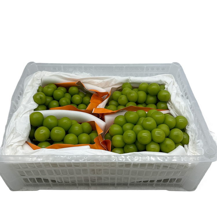 whole-carton-china-airfreight-sunshine-roses-approx-25kg-1