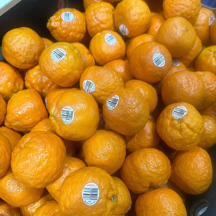 summerina-mandarin-approx-900-1kg-1