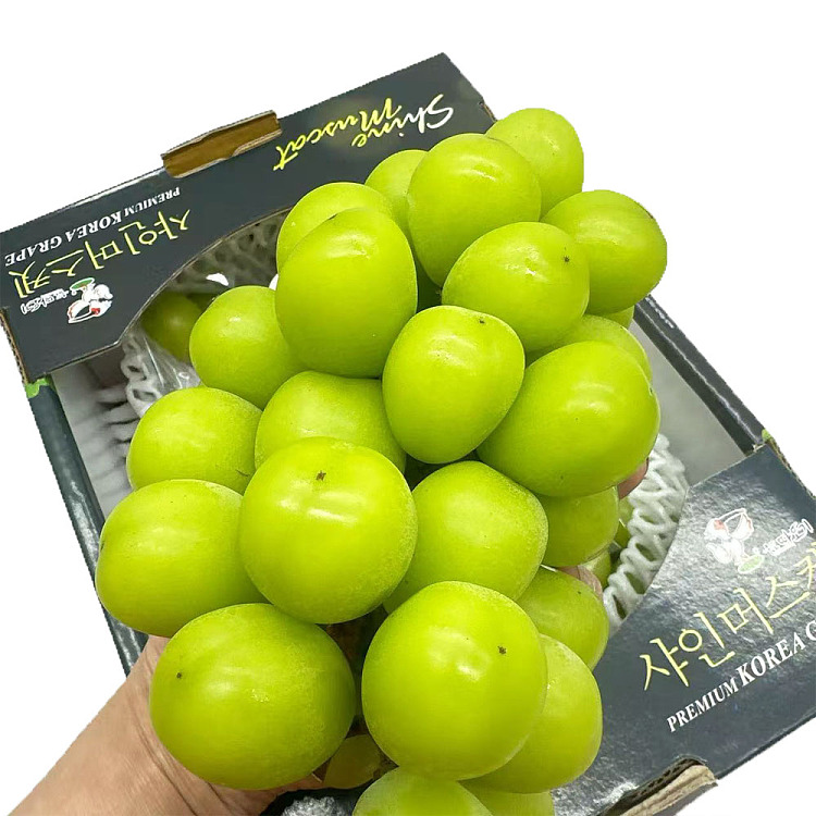 korea-top-shinemascat-sunshine-rose-grape-gift-set-about-2kg-1