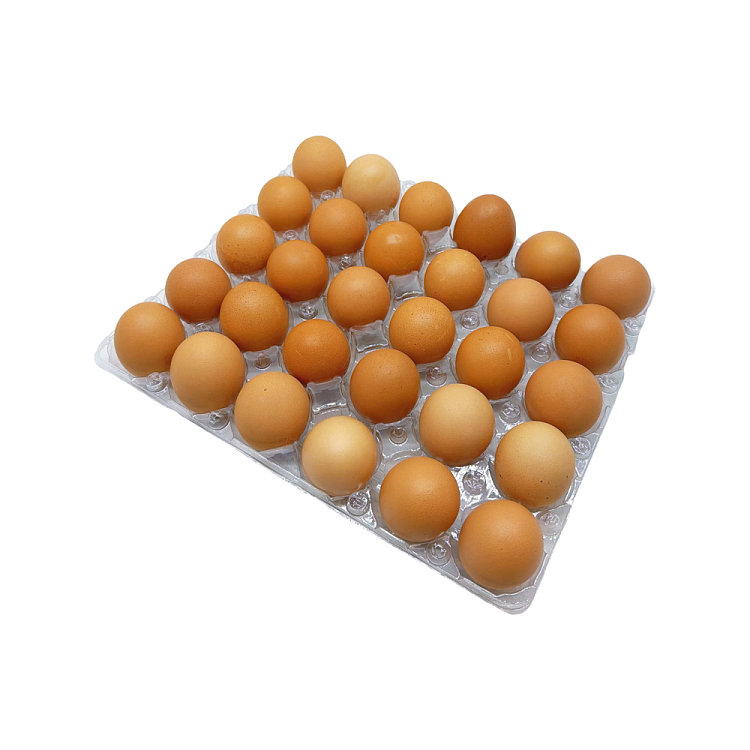pacefarmfreerange-walking-eggs-l-large-30pcs15kg-3