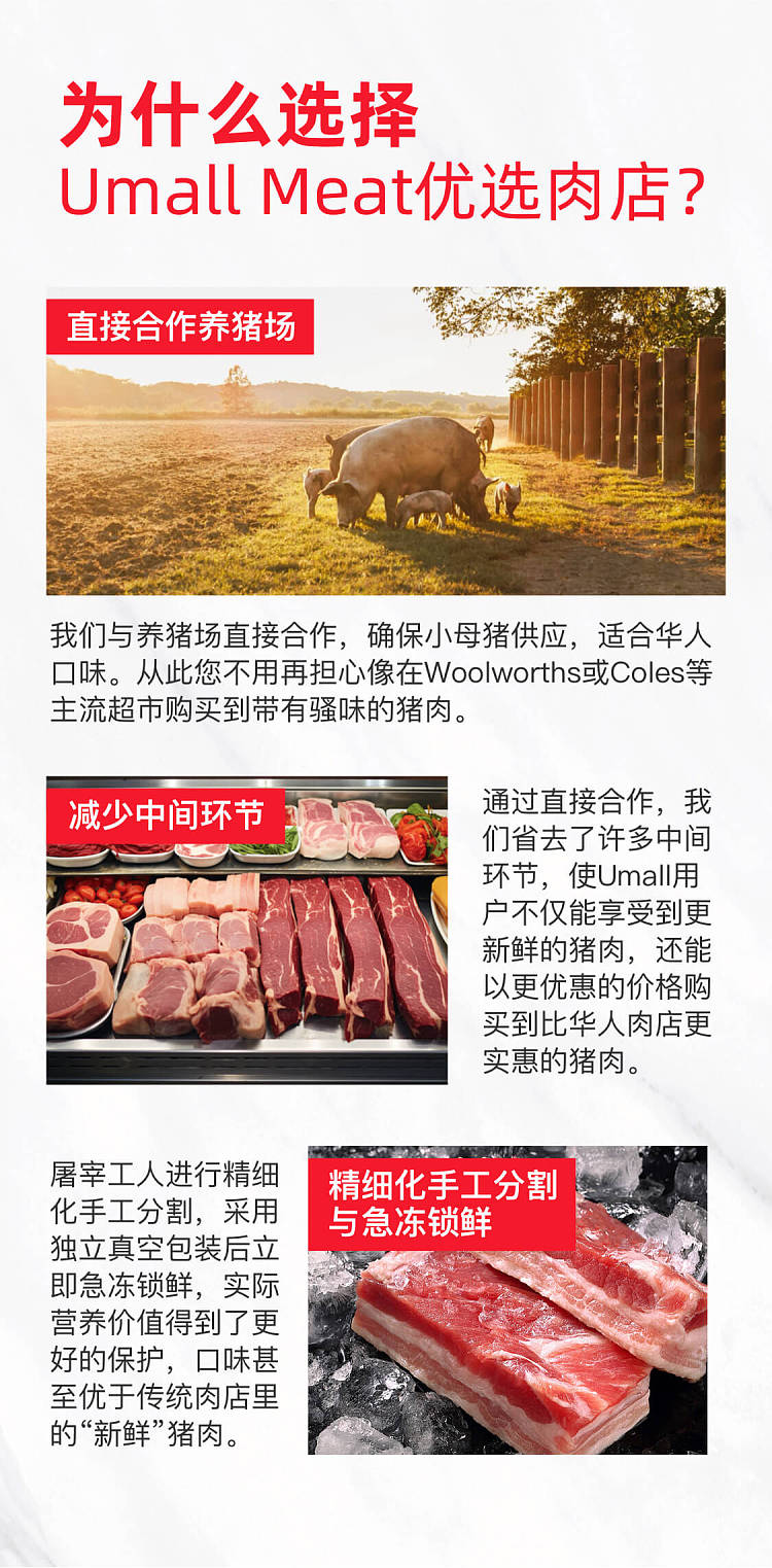 frozen-boxed-freshchinese-ribstrip-6