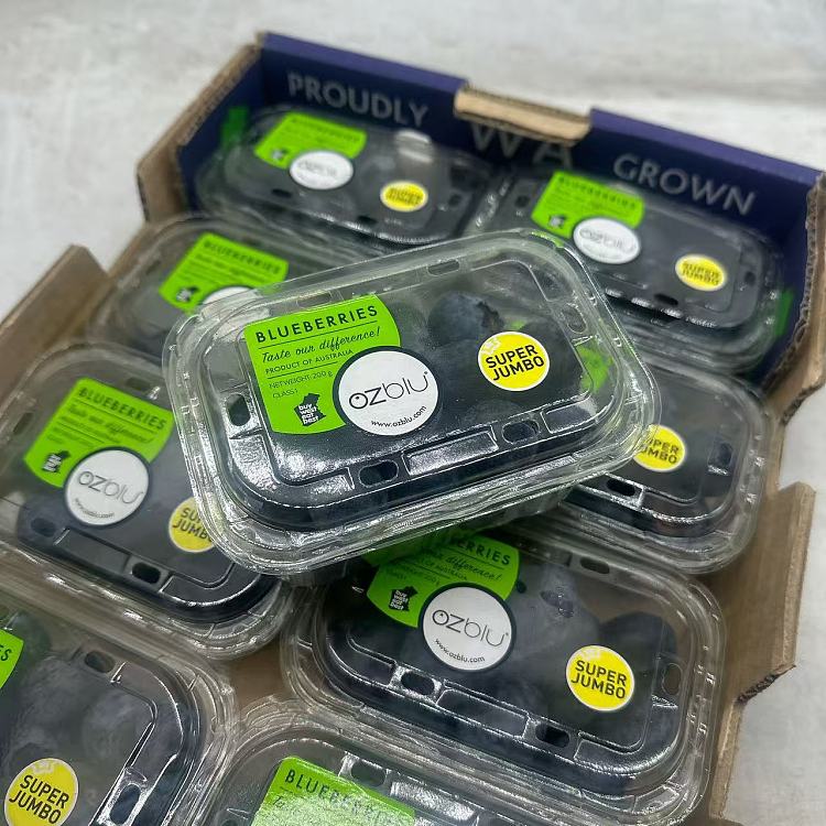 australia-super-jumbo-blueberrysuperjumboblueberry1-box-about-200g-3