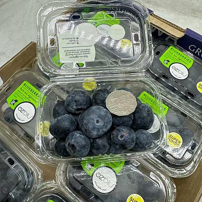 澳洲超级巨无霸蓝莓 Super Jumbo Blueberry 1盒 约200g