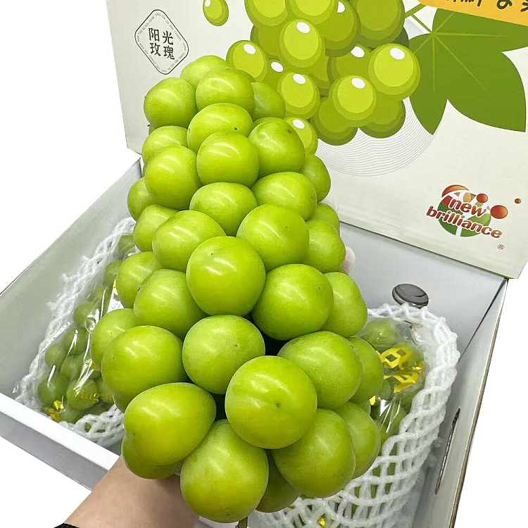 original-boximported-from-china-sunshine-rose-gift-box-about-3kg-1