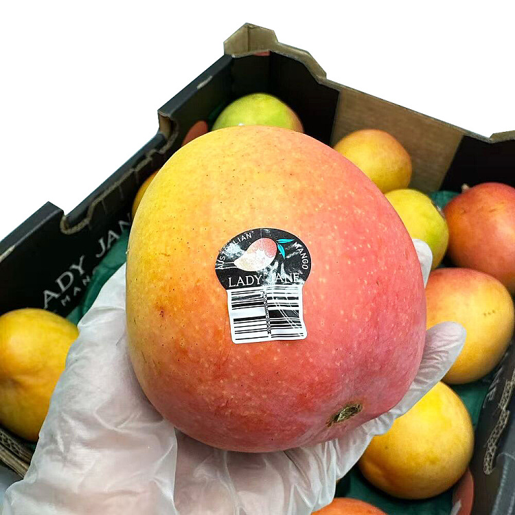 1-ladyjane-mango-mango-australia-1