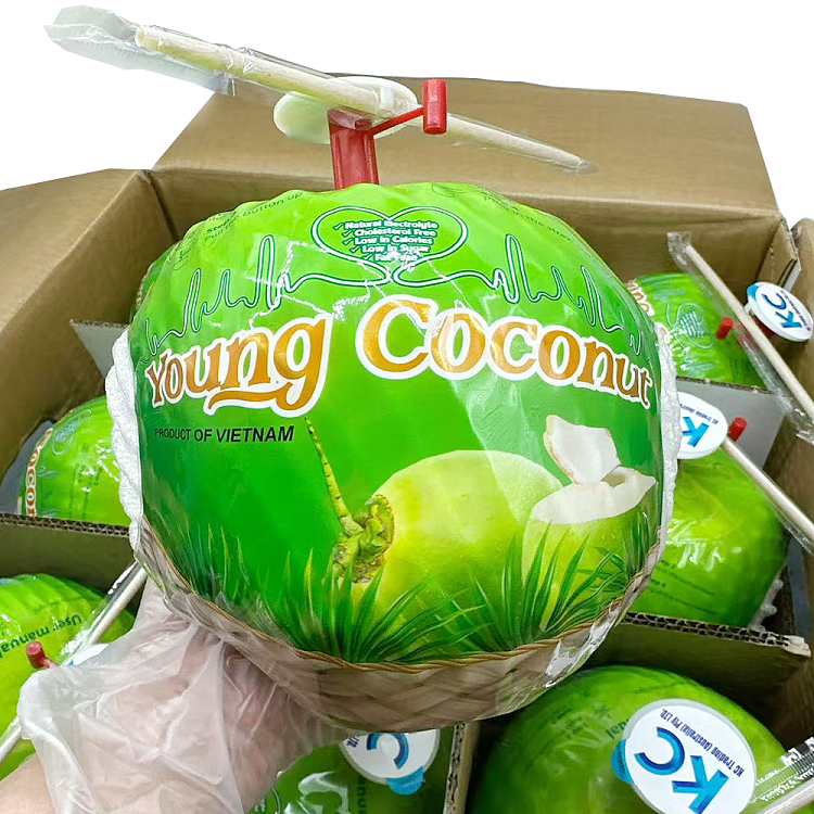 original-box-youngfresh-easyopen-coconut-green-easyopencoconutsize9-2