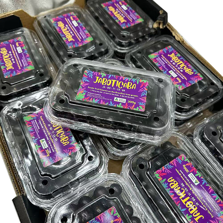 carbolic-tree-grapes-1-box-about-300g-2