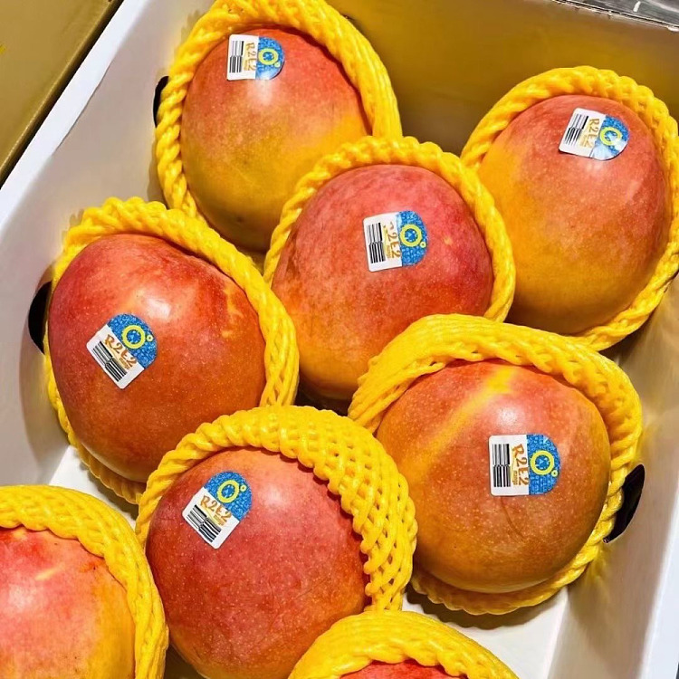 direct-shipping-to-chinaaustralian-peach-12pcs-about-17kg-4