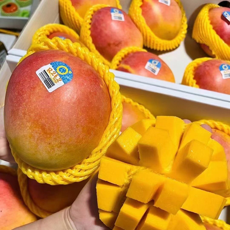 direct-shipping-to-chinaaustralian-peach-12pcs-about-17kg-3