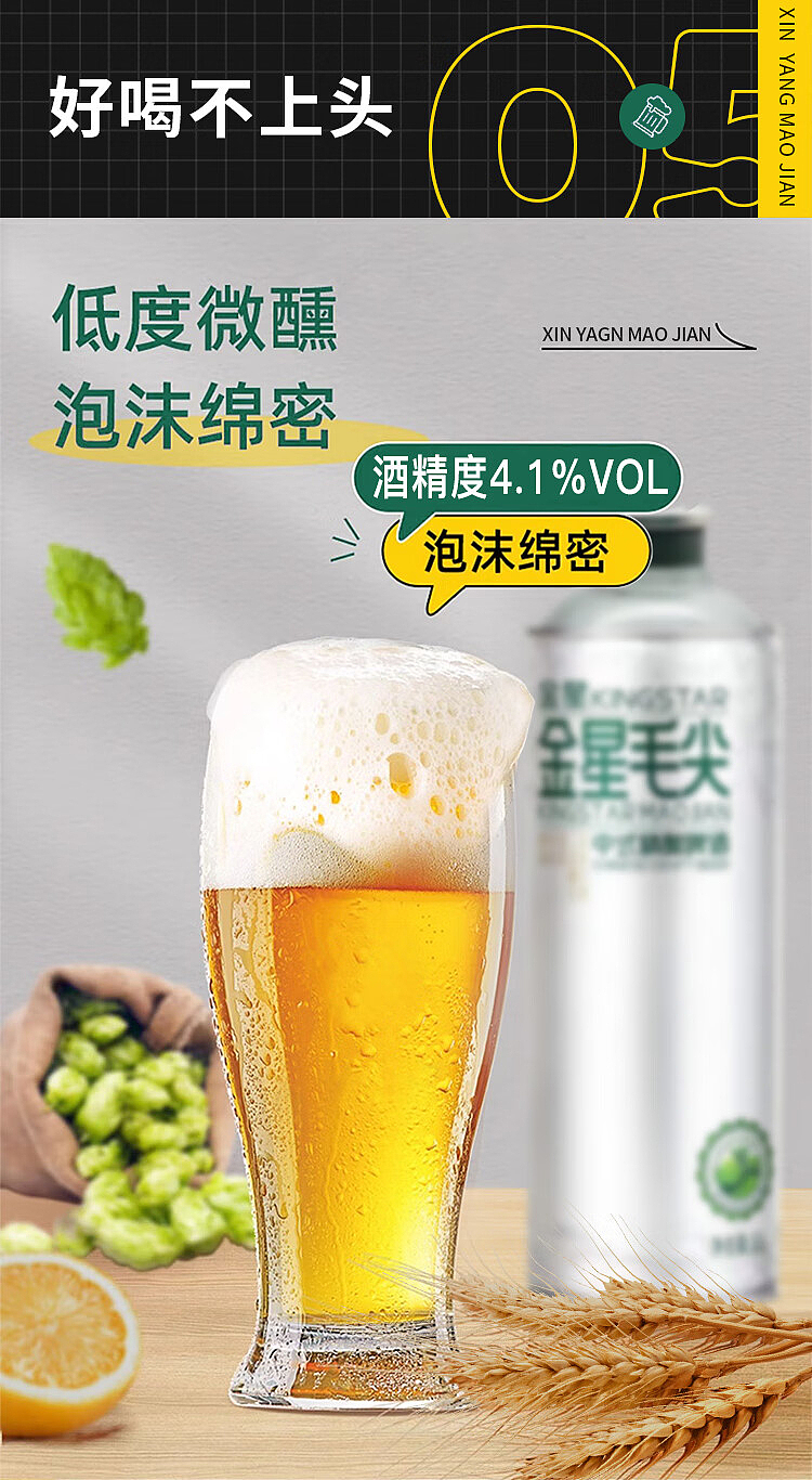 golden-star-chinese-craft-beer-xinyang-maojian-1l6-bottles-9