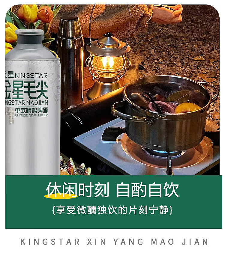 golden-star-chinese-craft-beer-xinyang-maojian-1l6-bottles-12