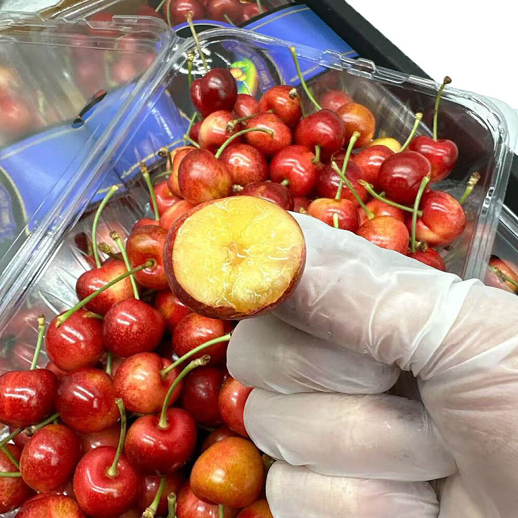 original-boxskylarrae-white-cherry-26-28mm-box-approx-1kg-4