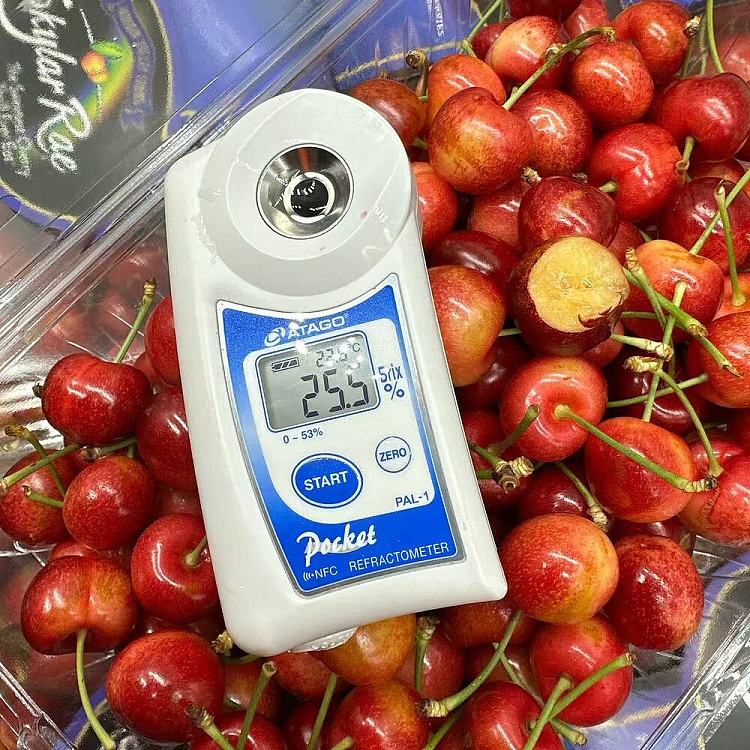 original-boxskylarrae-white-cherry-26-28mm-box-approx-1kg-2