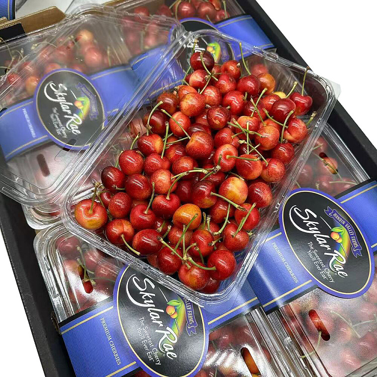 original-boxskylarrae-white-cherry-26-28mm-box-approx-1kg-1