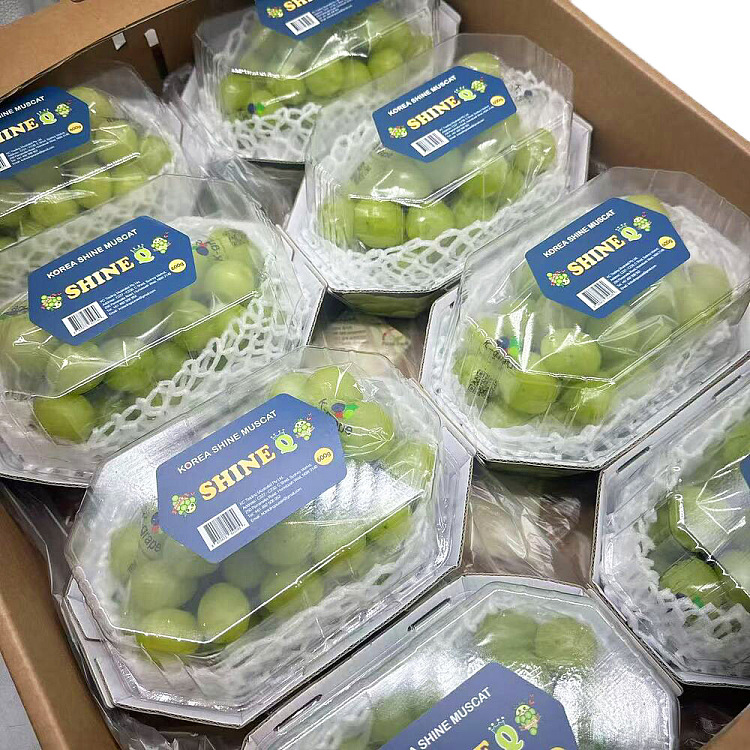 korea-top-shinemascat-sunshine-rose-grape-1-box-about-500g-3