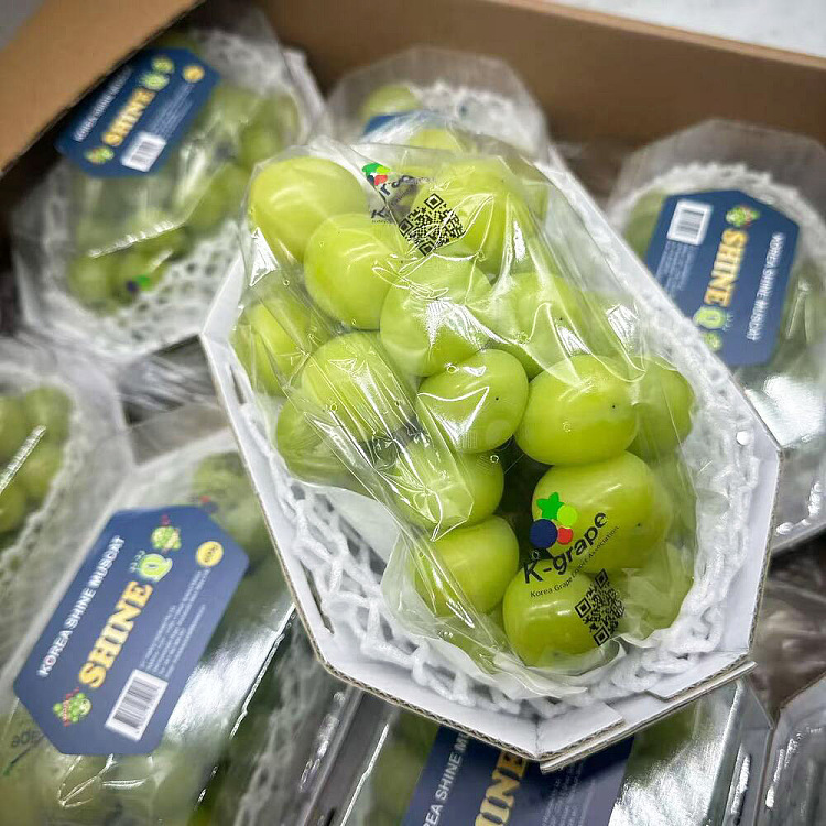 korea-top-shinemascat-sunshine-rose-grape-1-box-about-500g-2