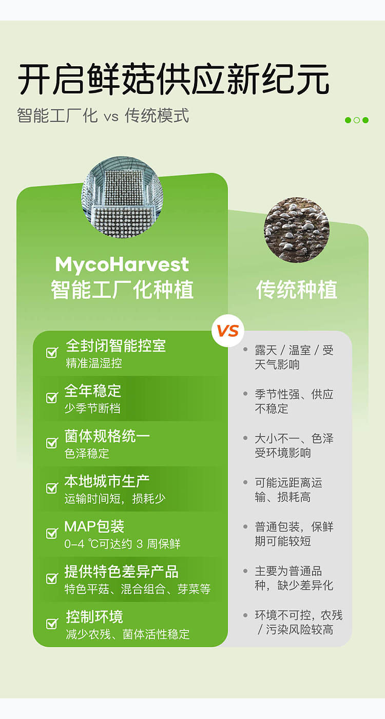 mycoharvest1stgrade-mushroom-150g-3