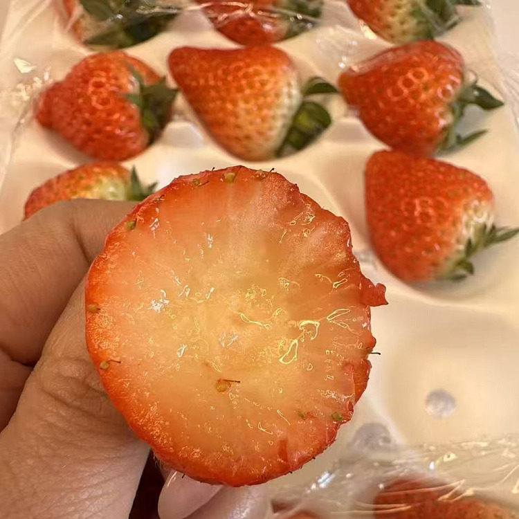 china-airfreight-meguiars--pink-jade-high-sugar-strawberries-1-box-about-350g-1