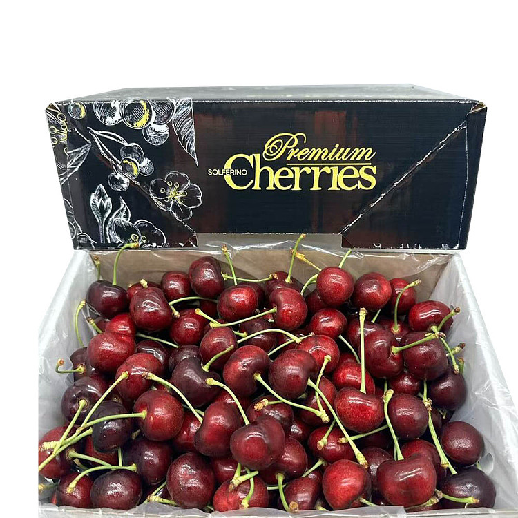 original-boxsolferinoglenred-cherry-30-32mm-gift-box-approx-2kg-1