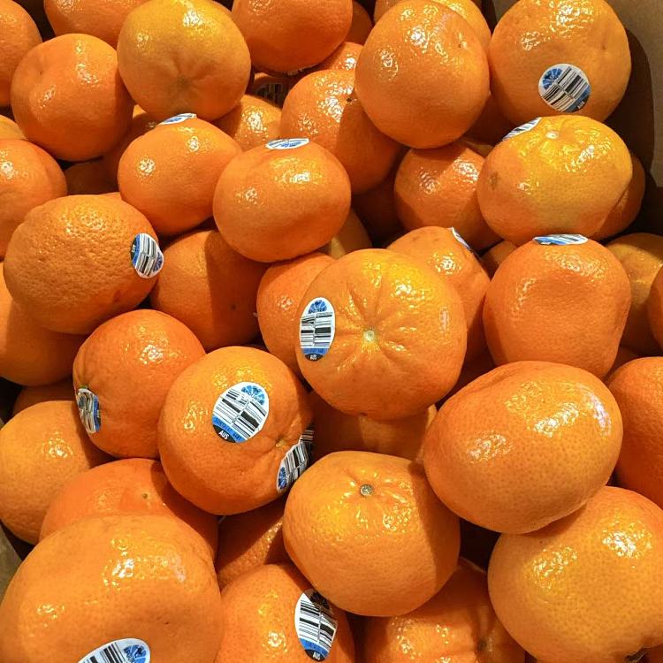 afourer-small-orange-approx-1kg-1