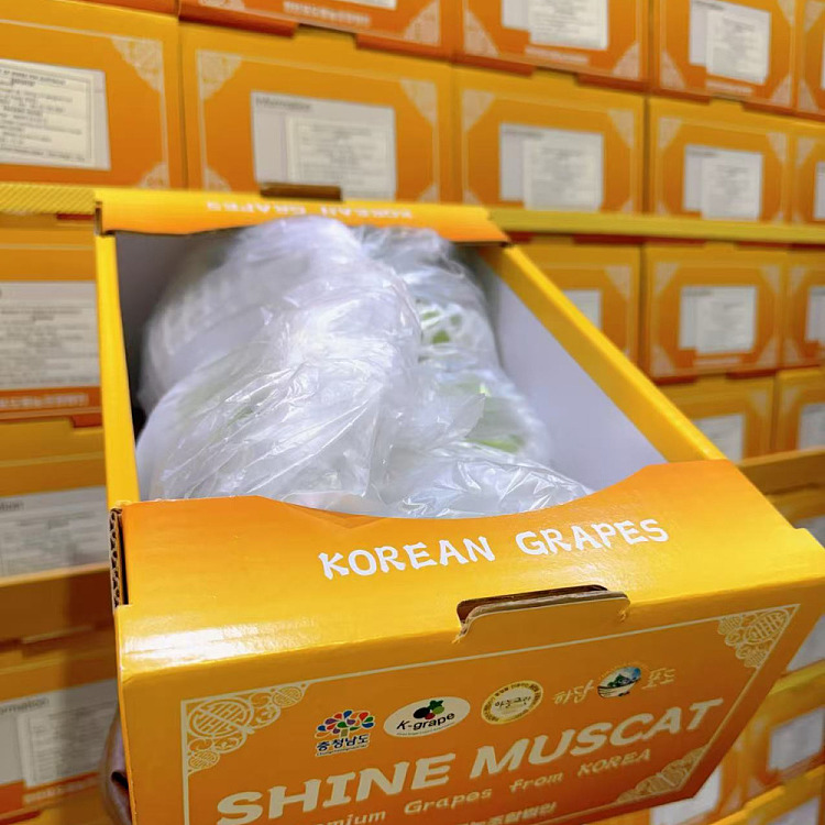 korea-imported-shinemuscatgrape-gift-box-approx-2kg-4