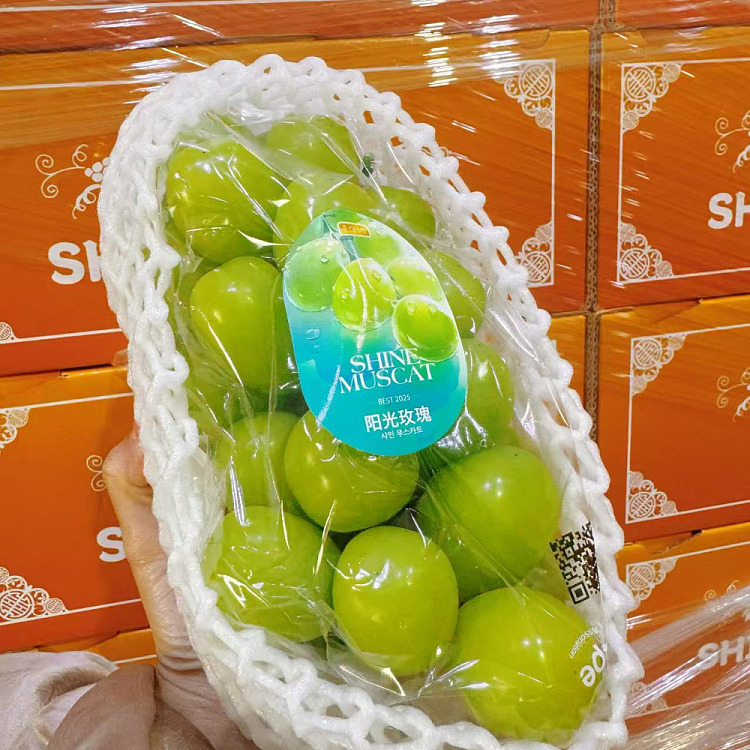 korea-imported-shinemuscatgrape-gift-box-approx-2kg-3