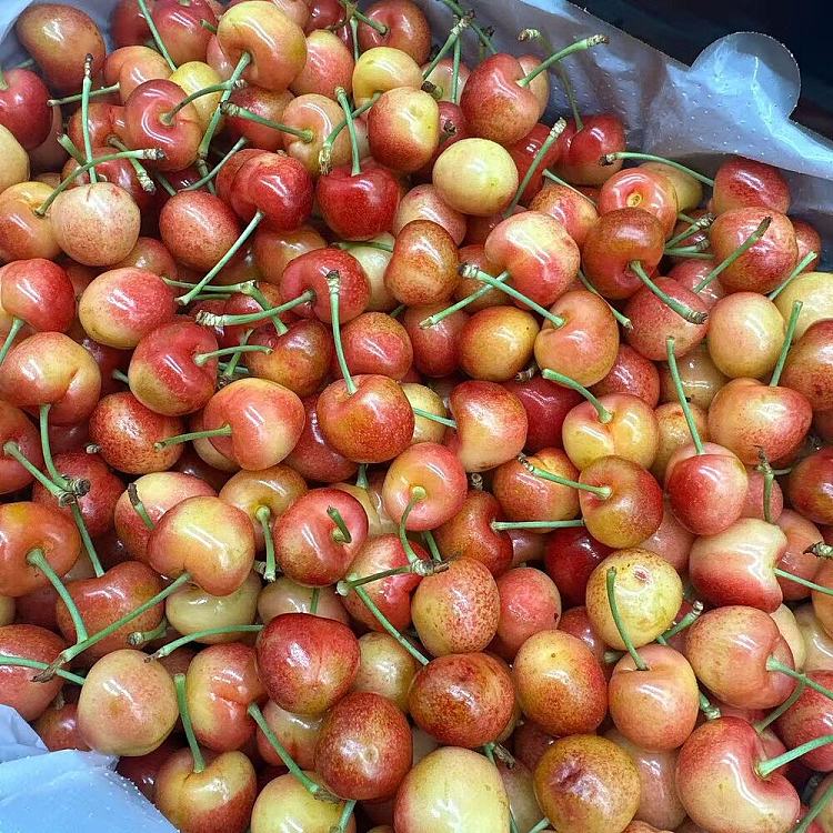 skylarrae-white-cherry-28-30mm-about-500g-3