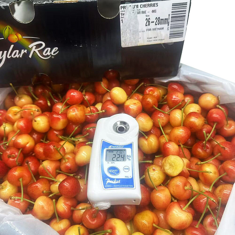 skylarrae-white-cherry-28-30mm-about-500g-2