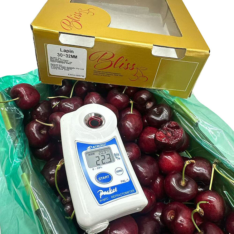 fresh-lapin-cherries-30-32mm-gift-box-approx-1kg-2