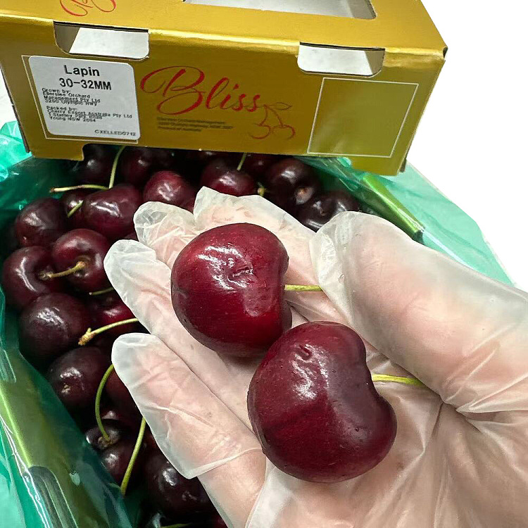 fresh-lapin-cherries-30-32mm-gift-box-approx-1kg-3