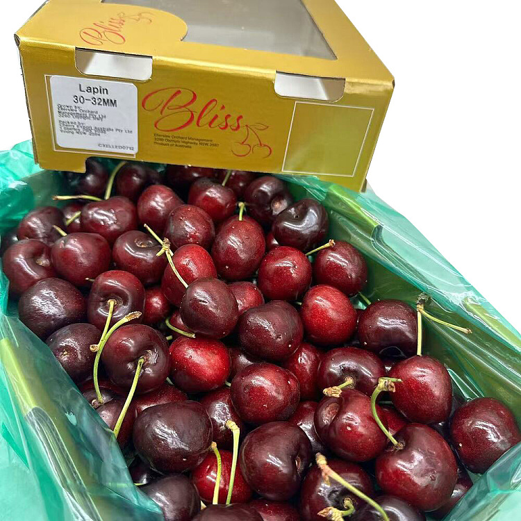fresh-lapin-cherries-30-32mm-gift-box-approx-1kg-1